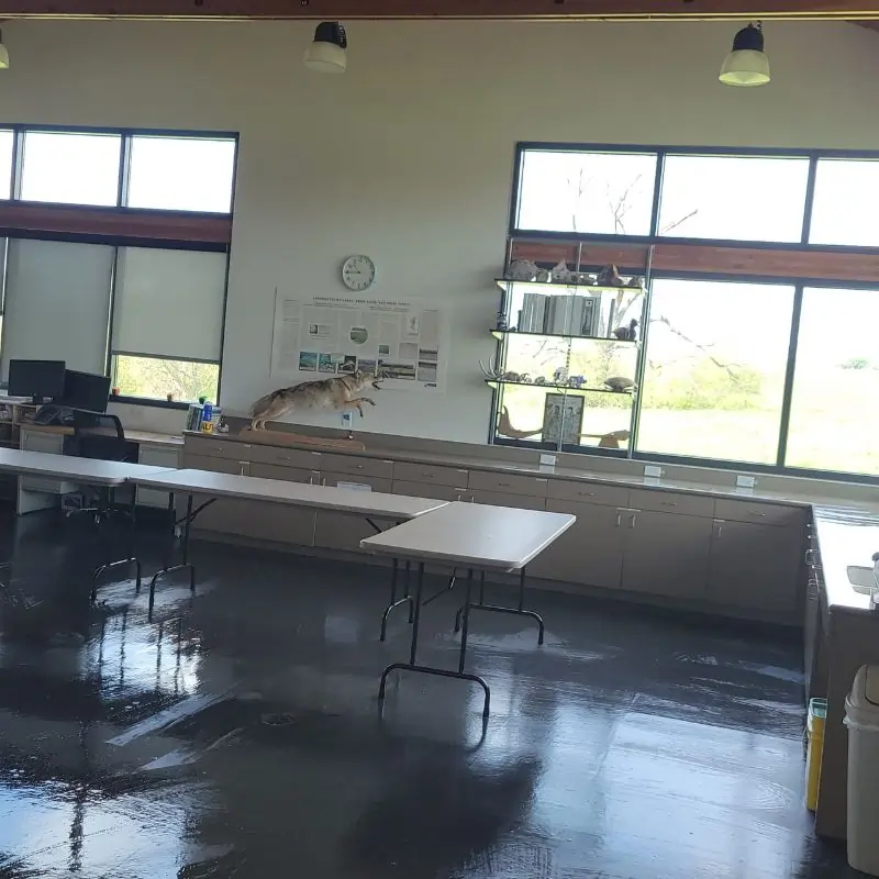 Cleaning class room floor and tables in Arlington K-12 School (1) Cleaning class room floor and tables in Arlington K-12 School